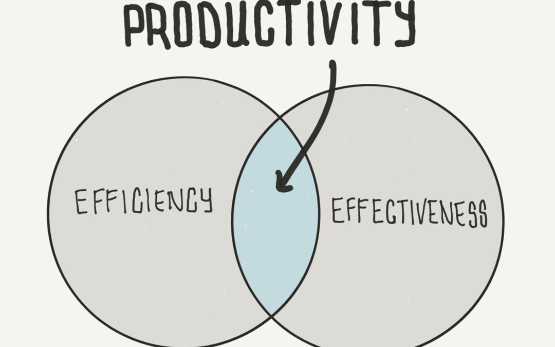 Productivity vs. Efficiency in Manufacturing